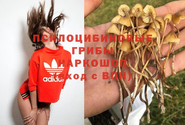 прущая мука Беломорск