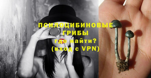 эйфоретик Белокуриха